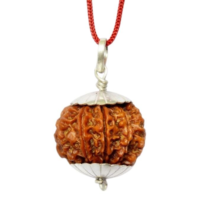 9 Mukhi Rudraksh 
