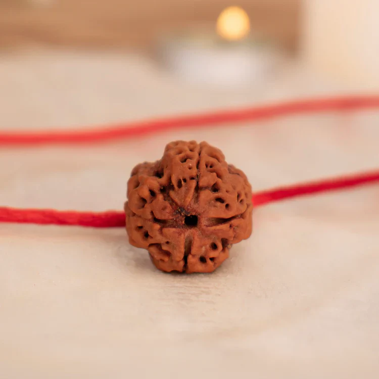  4 Mukhi Rudraksh