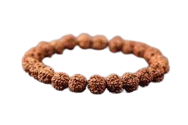 5 Mukhi Rudraksha Bracelet