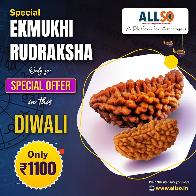 1 mukhi Rudraksha(1.0)